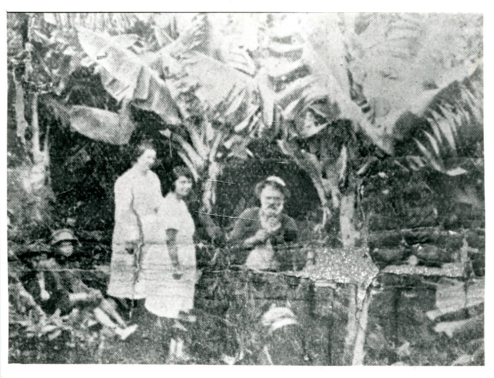 Matthew McFadyen's banana plantation