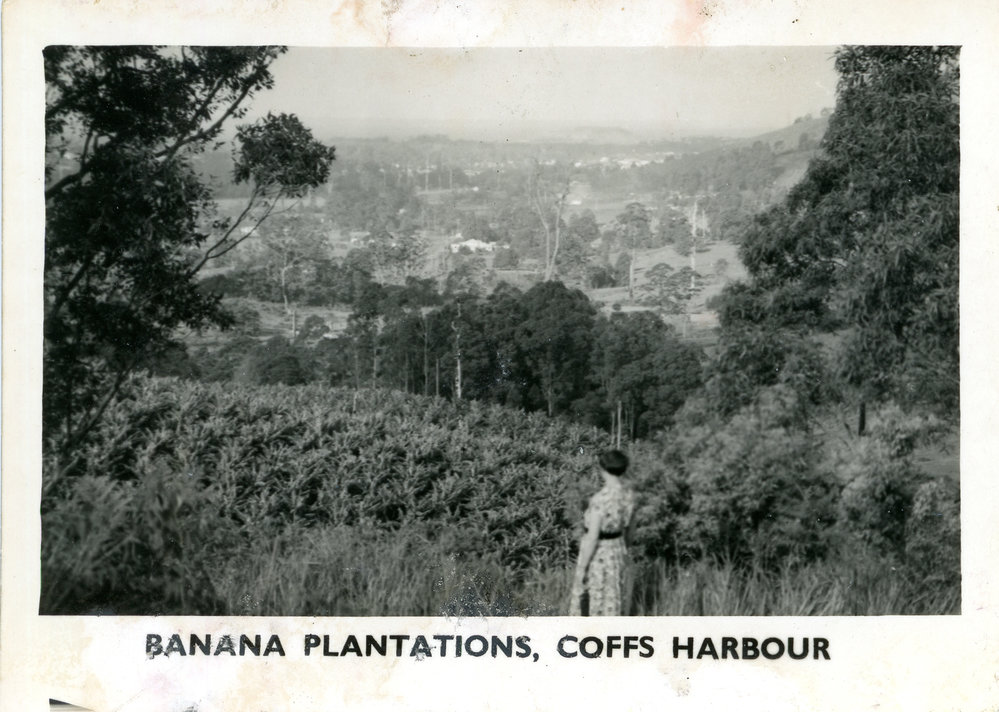 Farm vista