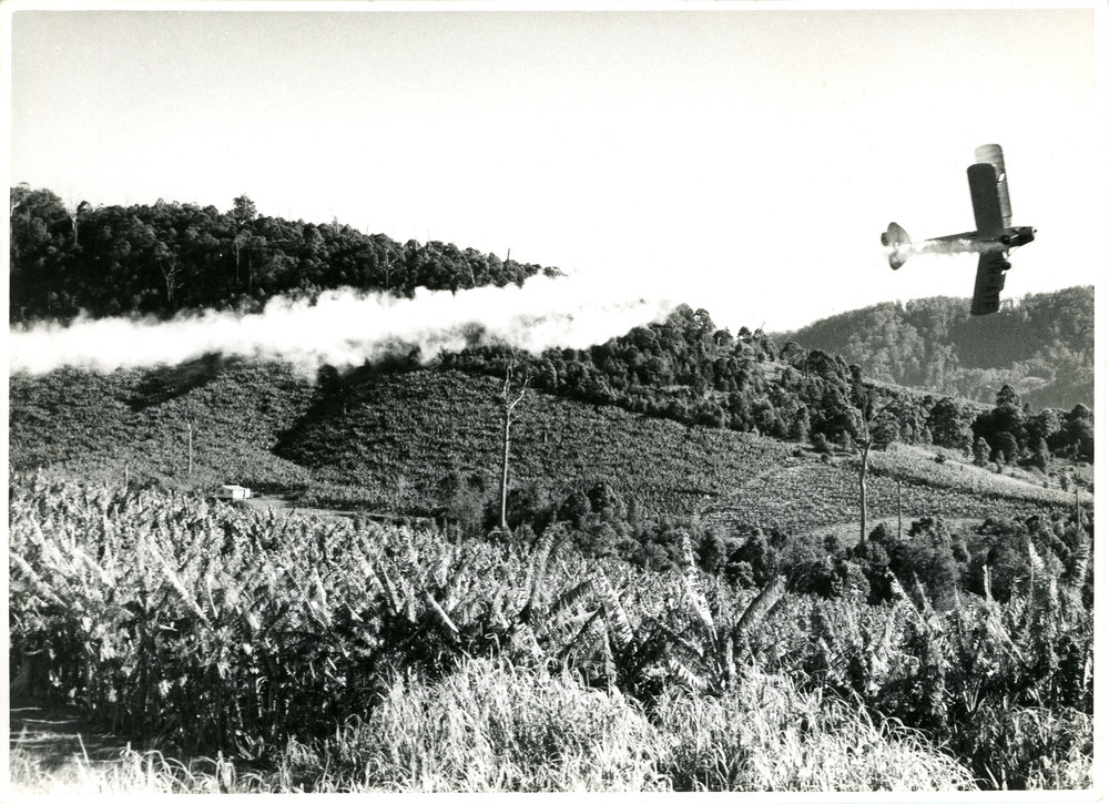 Cropdusting demonstration over Kratz's farm, July 1958