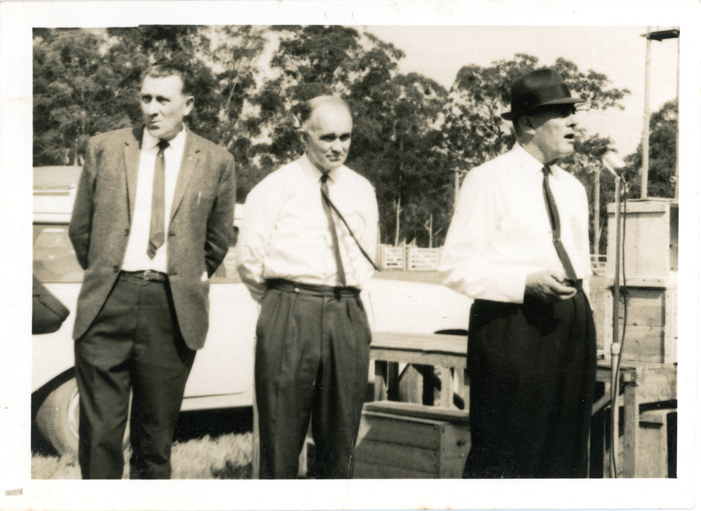 Banana Field Day, c. 1965 - 1966