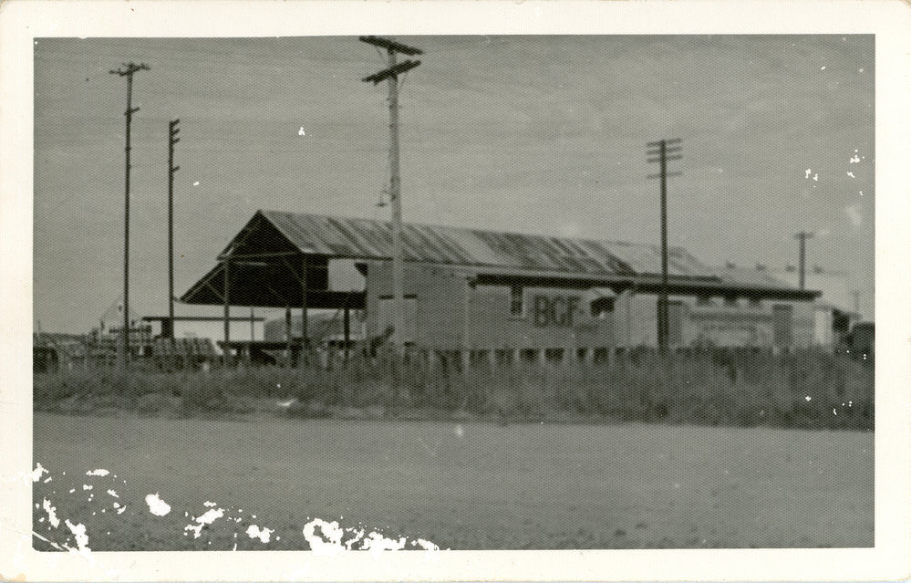 Loading dock of the Banana Growers Federation, c. 1957