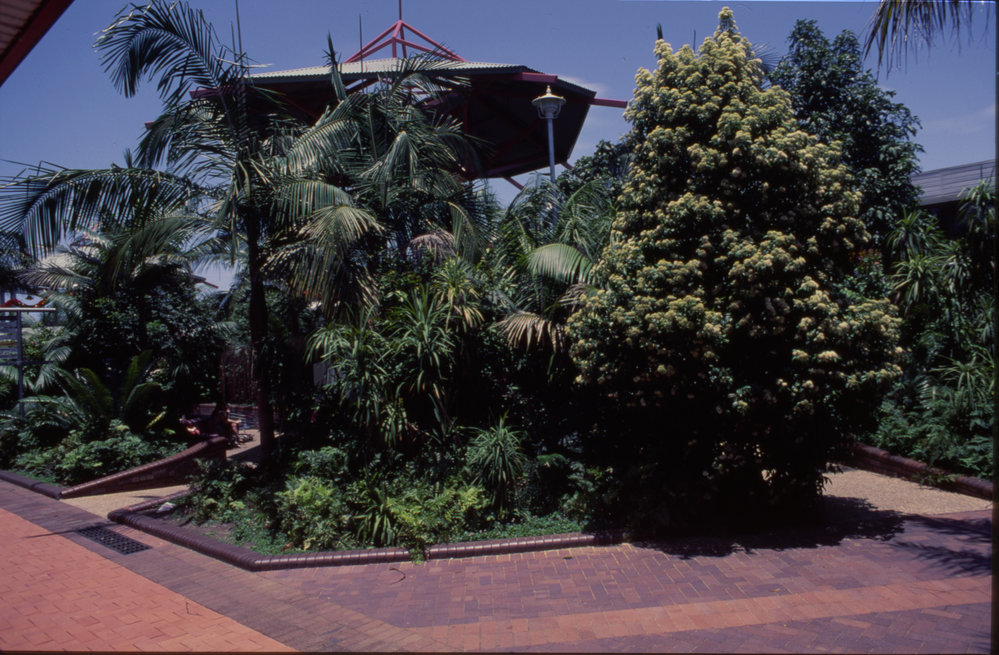 Gardens in the City Centre Mall at Coffs Harbour