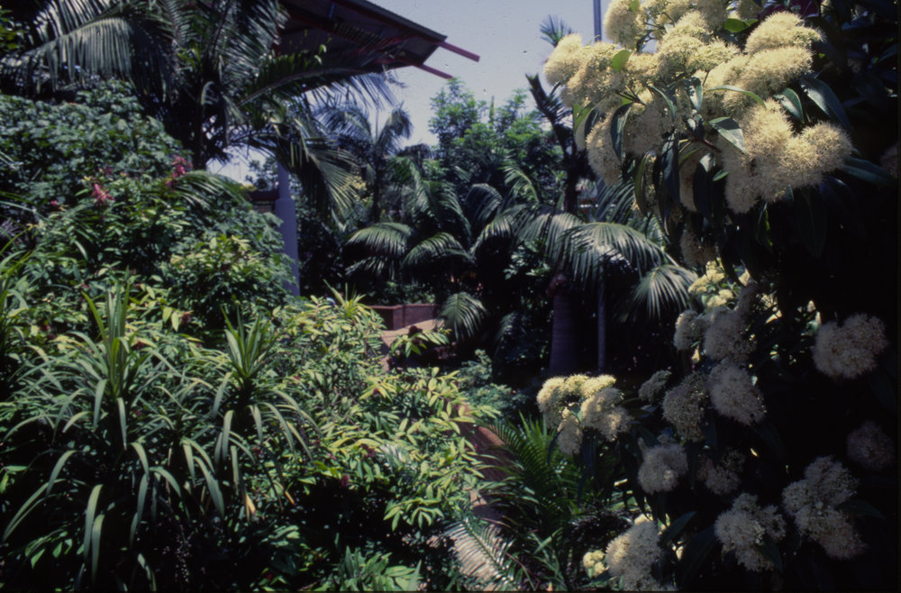 Gardens in the City Centre Mall, Coffs Harbour