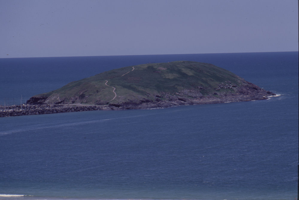 Giidany Miirlarl, or Muttonbird Island, Coffs Harbour Jetty
