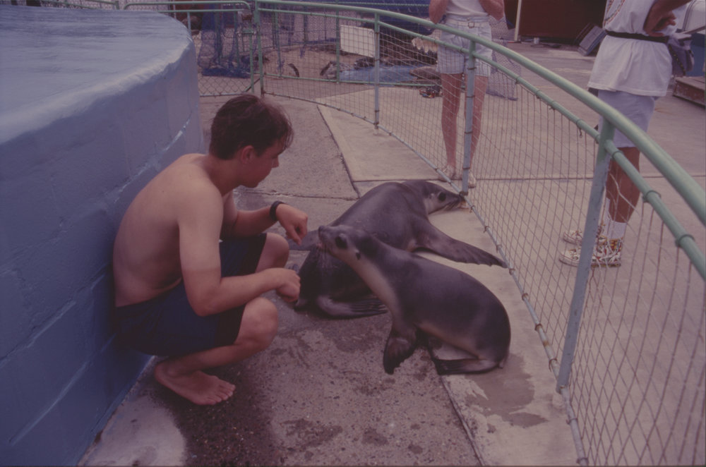 Young man with two seals, Pet Porpoise Pool