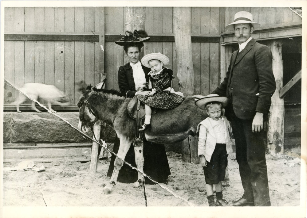 Family portrait with donkey and dog, 1909