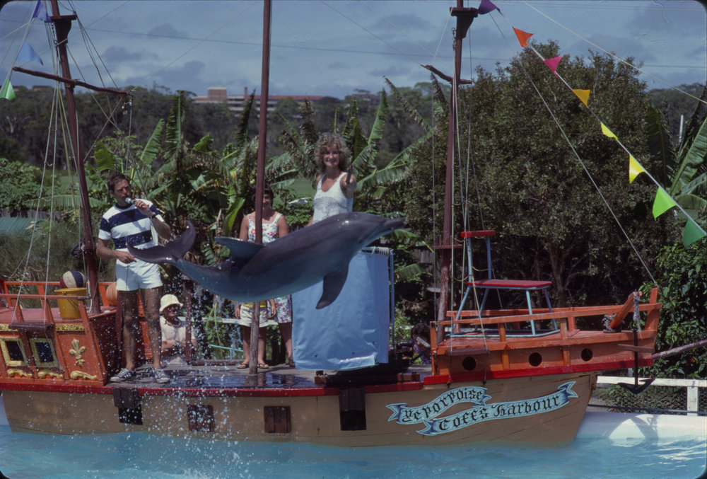 Woman feeding dolphin, Pet Porpoise Pool, c. 1979