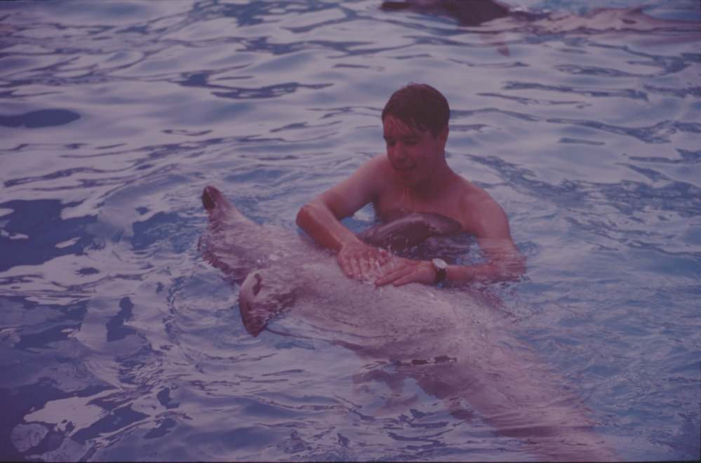 Man patting dolphin's stomach, Pet Porpoise Pool
