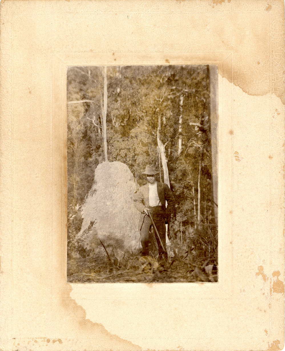 Scale of a termite mound, 1914