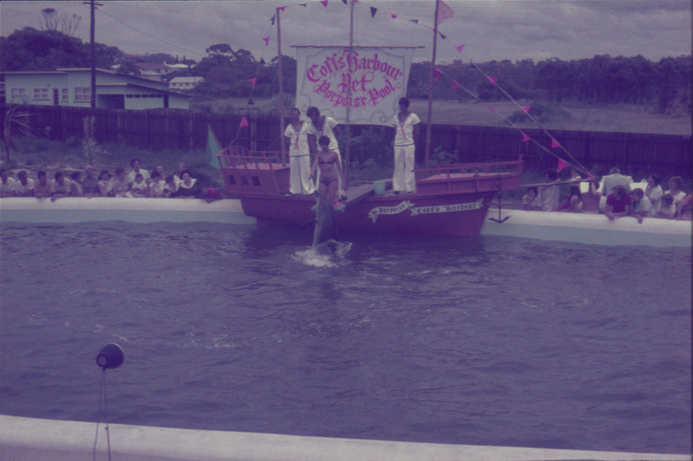 Woman feeding dolphin, Pet Porpoise Pool