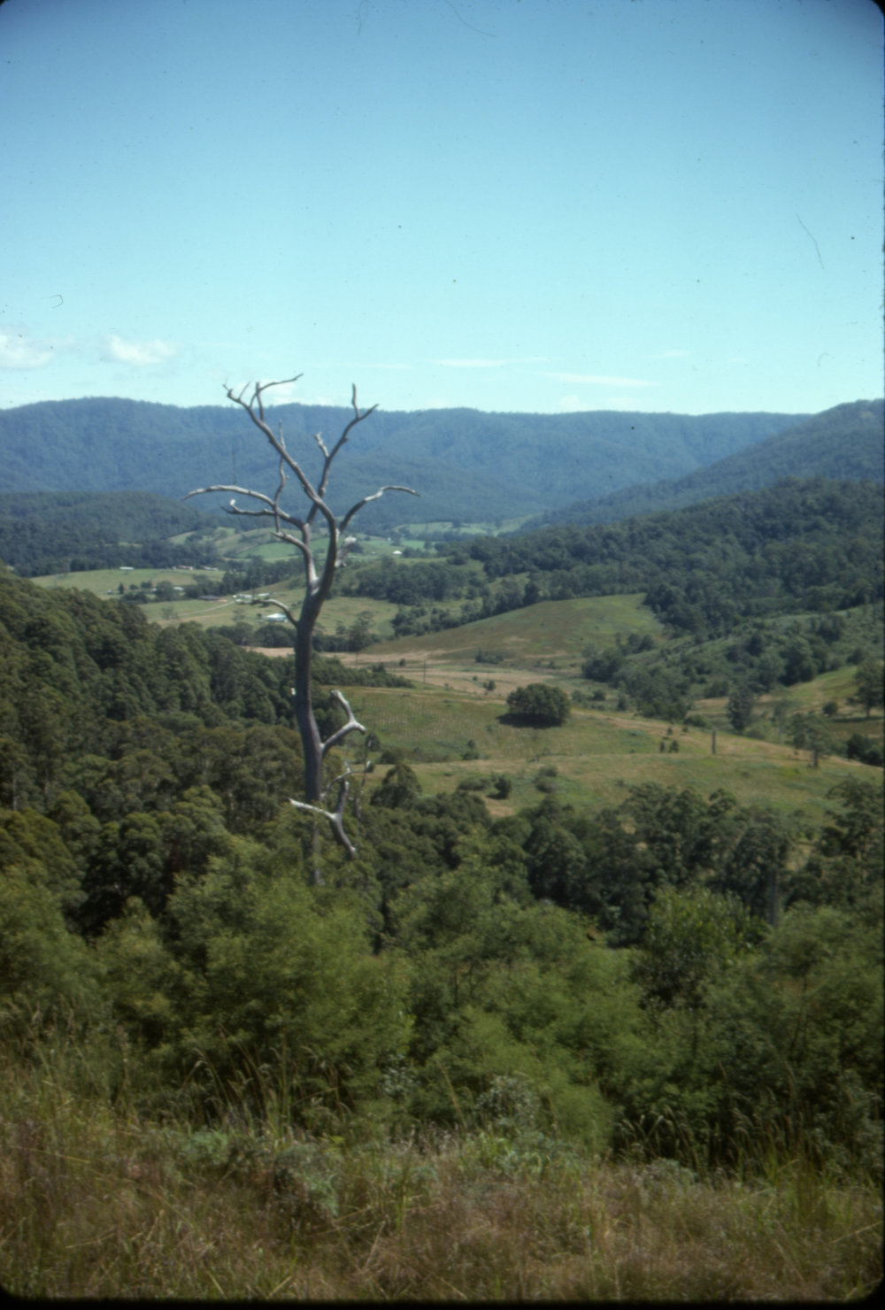 View of the valley, April 1977