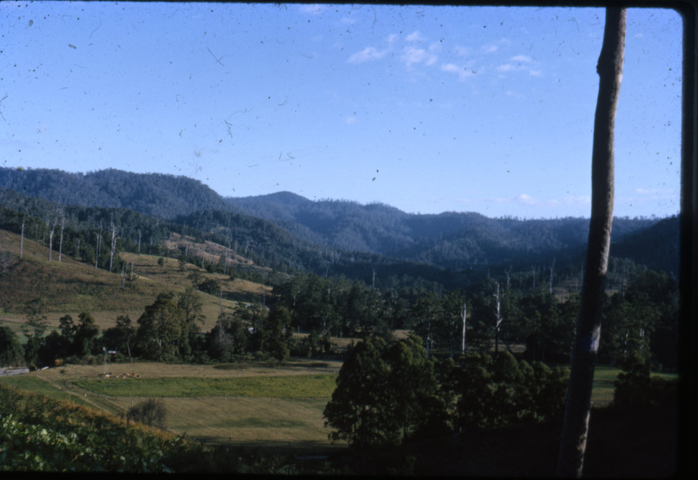 Coffs hinterland, 1966
