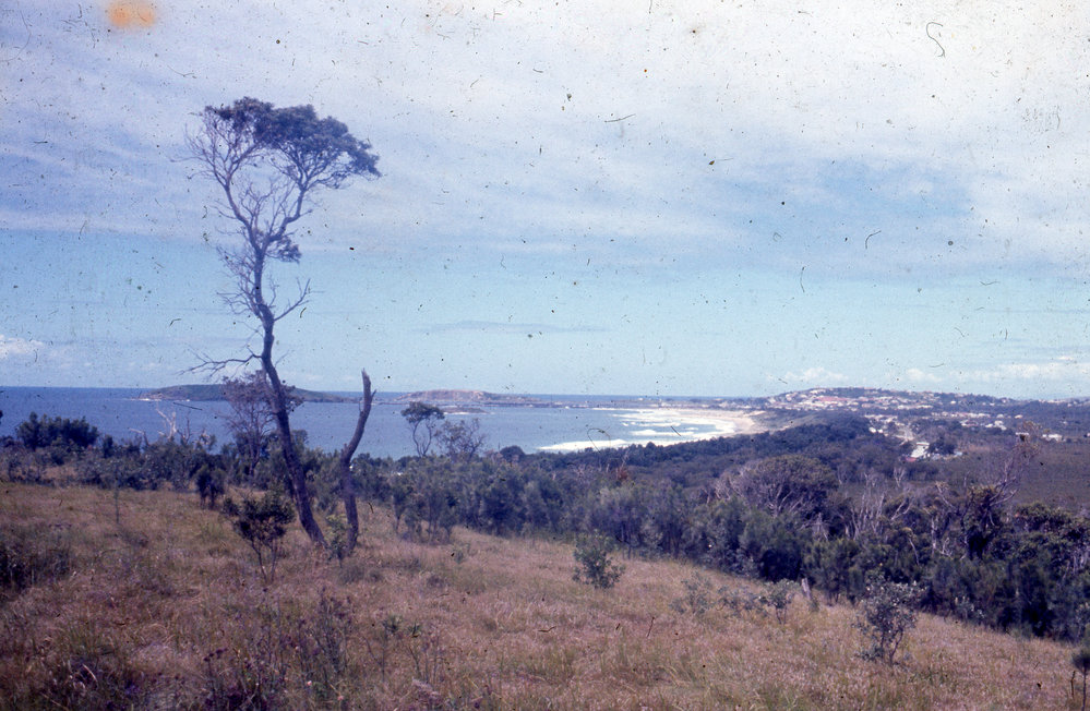View of Park Beach from Macauley's Headland, c. 1964