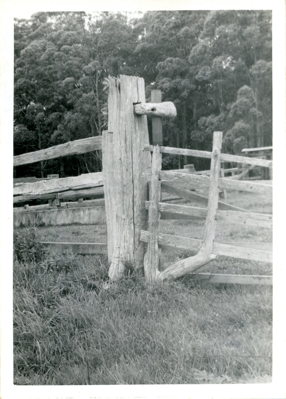 Post and rail fence, December 1969 