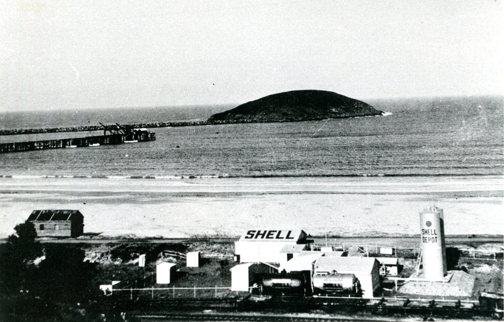 Shell Depot at Jetty Beach