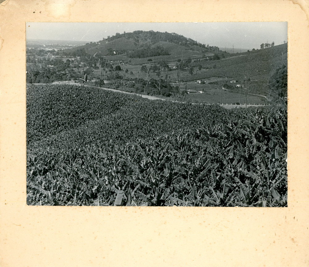 Viewing Roberts' Hill from Red Hill