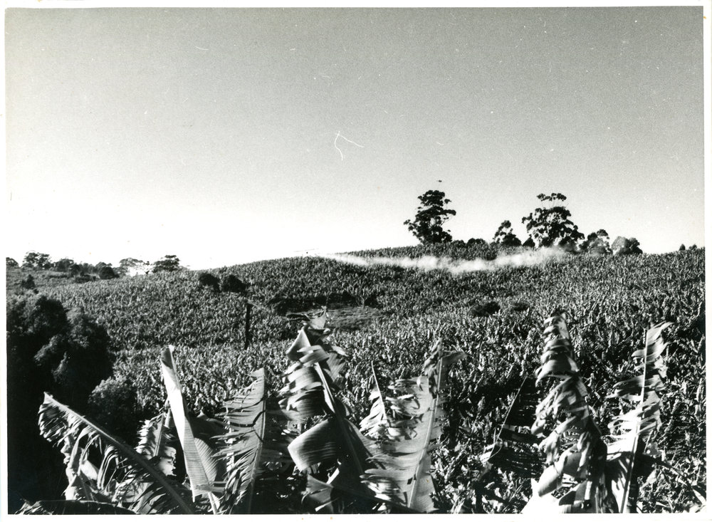 Cropdusting demonstration at Kratz's farm, July 1958