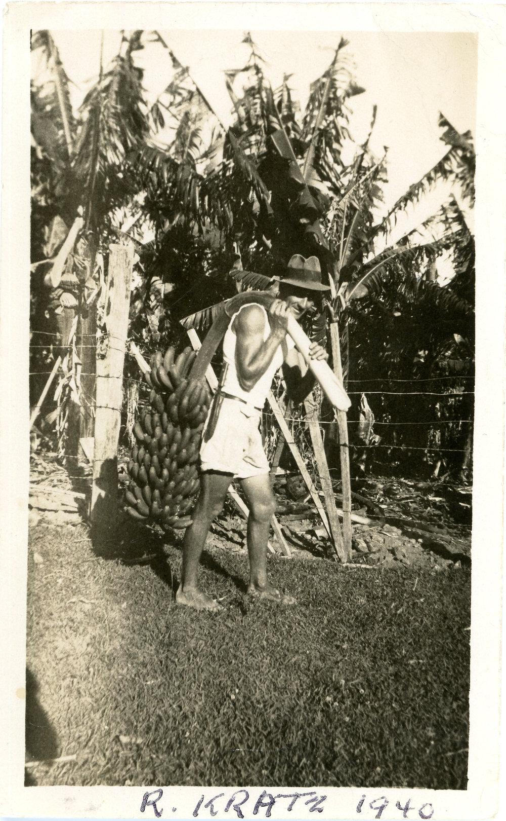 Ray Kratz shoulders a bunch of bananas, 1940