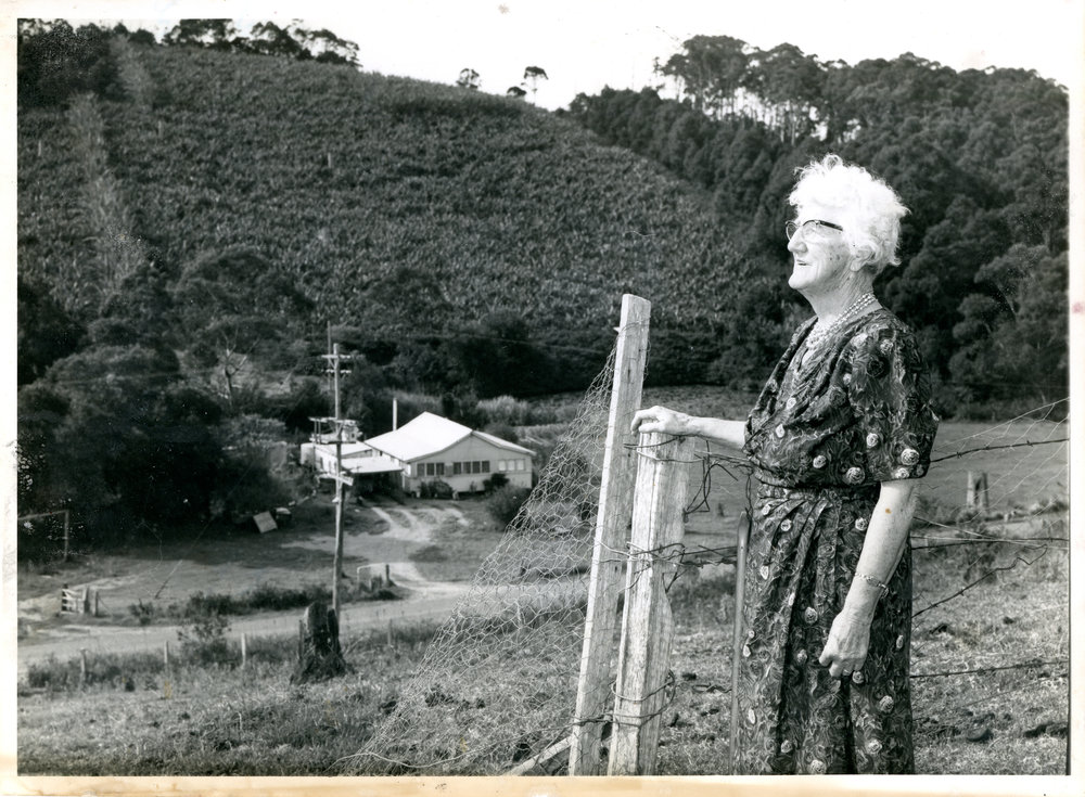 Overlooking the flat, September 1973