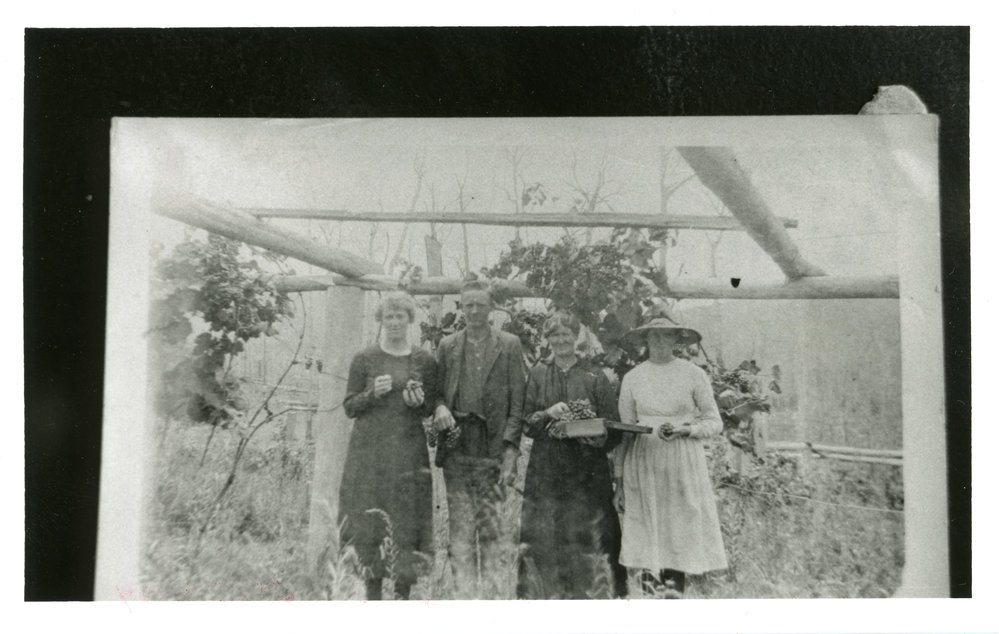 In the orchard
