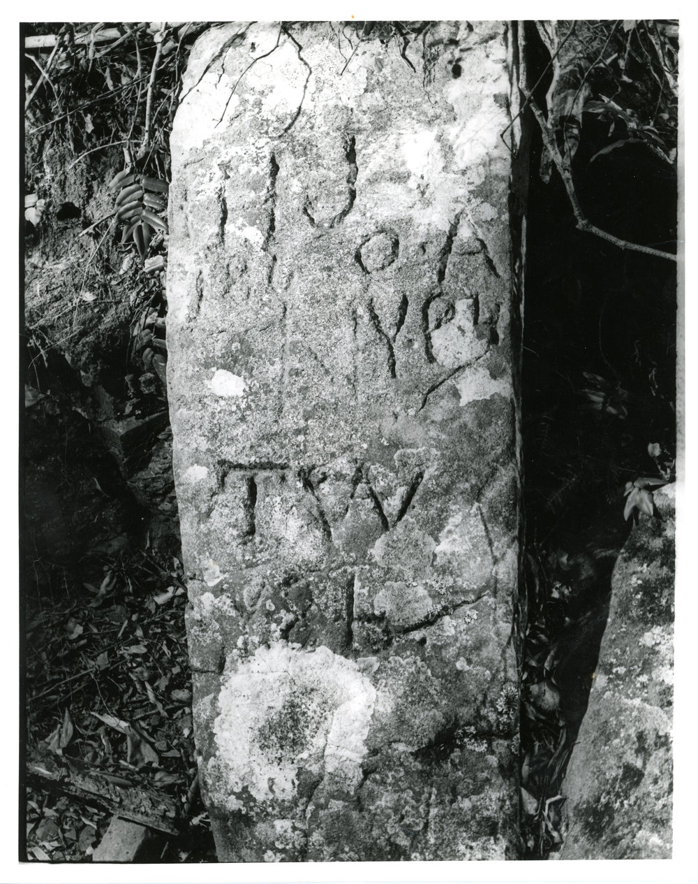 The Explorer's Mark Stone