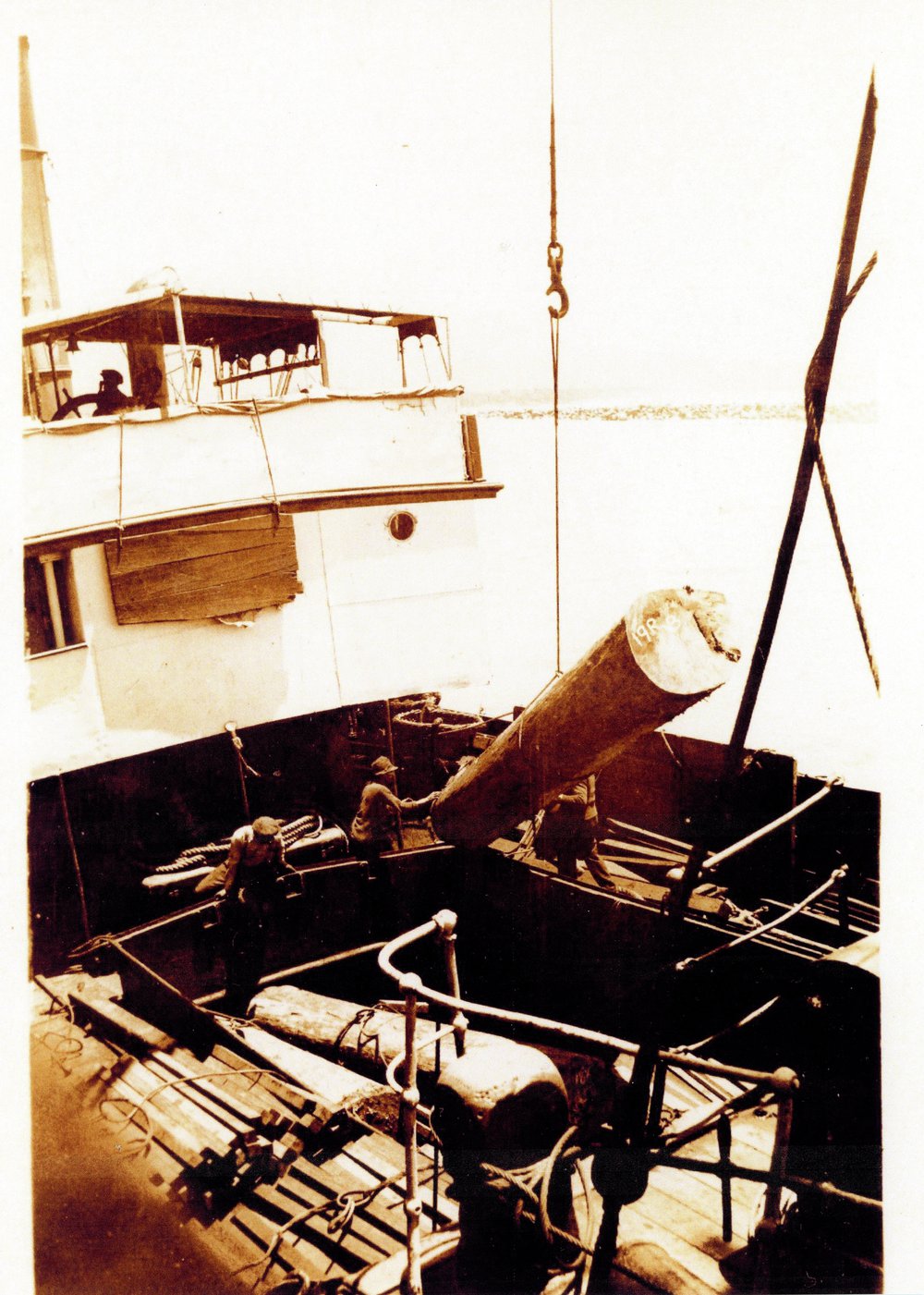 Loading logs onto T. S. S. Coombar, 1924