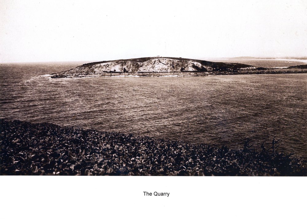 Quarry at the southern breakwall from Muttonbird Island, 1920s