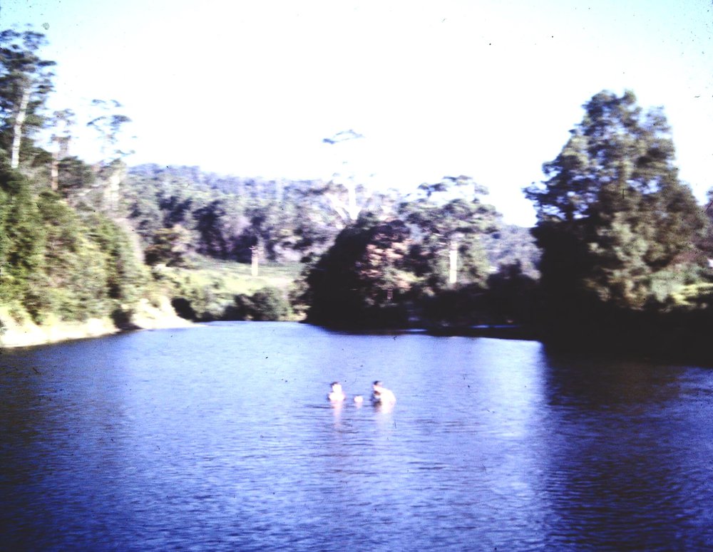 River at Coramba