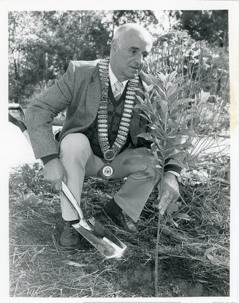 Bernie Malouf plants a tree at the Botanic Garden, 15 August 1988