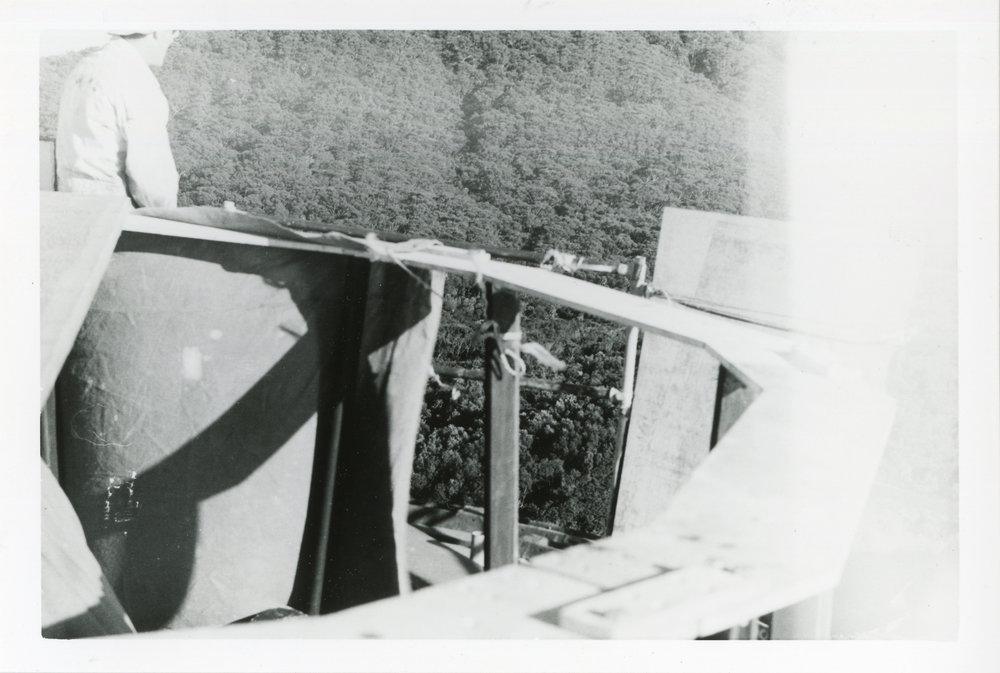 Viewing the tree tops from the Smoky Cape lighthouse, 1977 