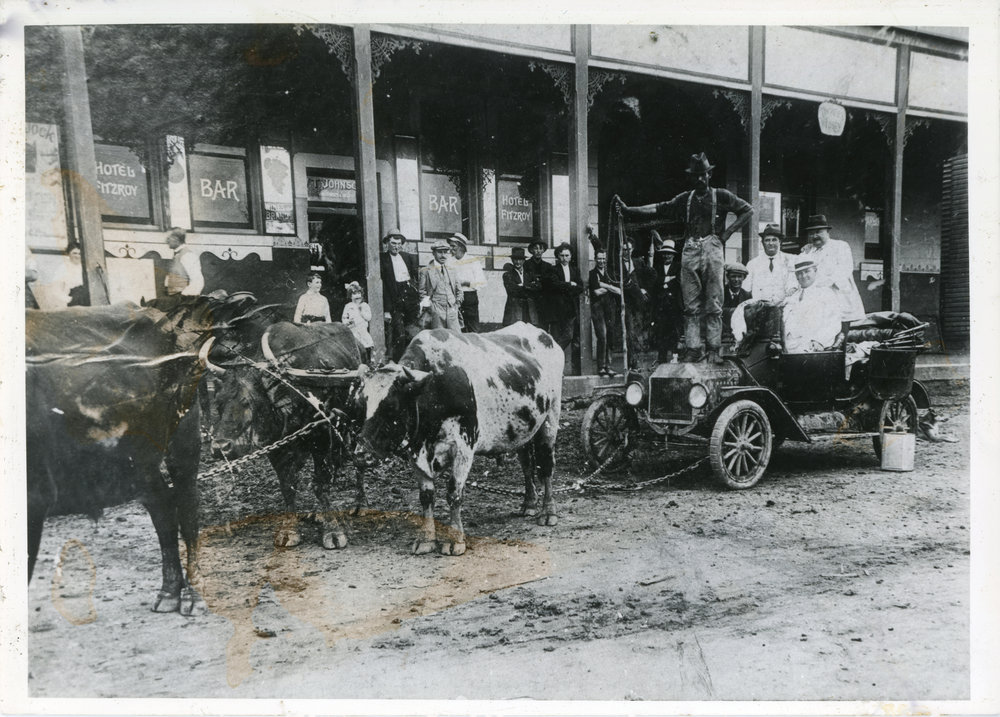 Bob Carney with his bullock team attached to a car, c.1912 