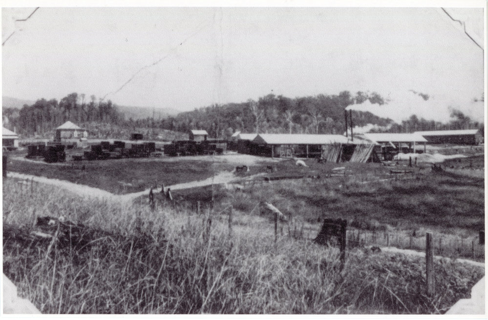 A sawmill, c. 1910