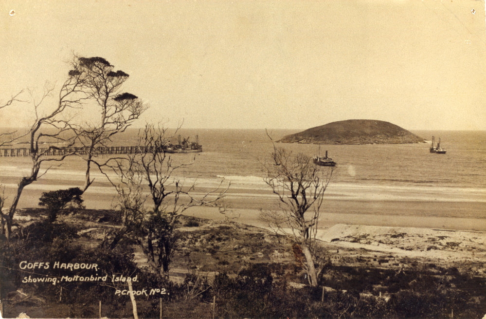 Steamships in the harbour, 1908