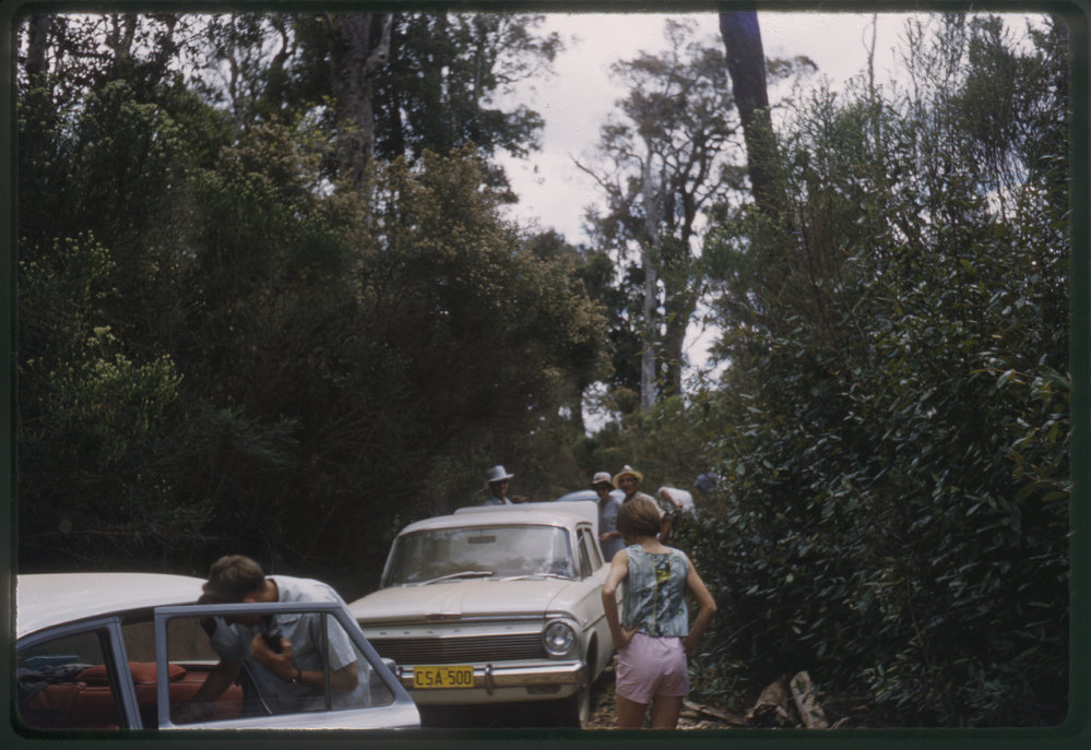 Road to Mount Moombil, 1960s