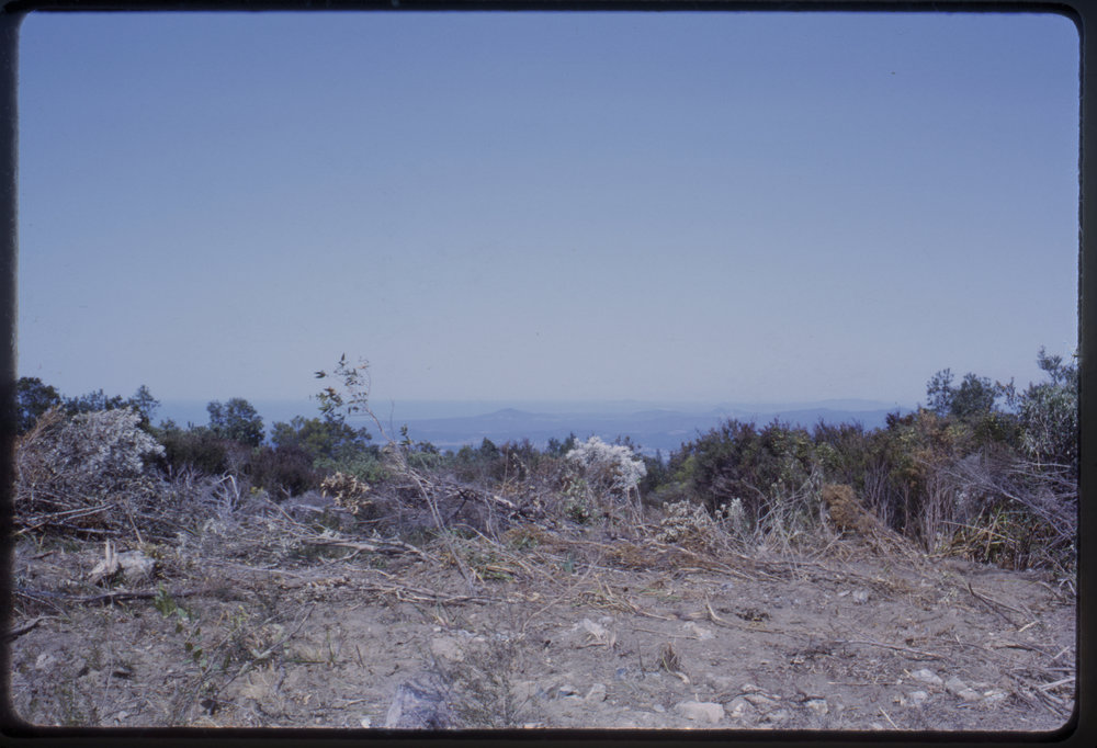 View east from Mount Moombil, c. 1963