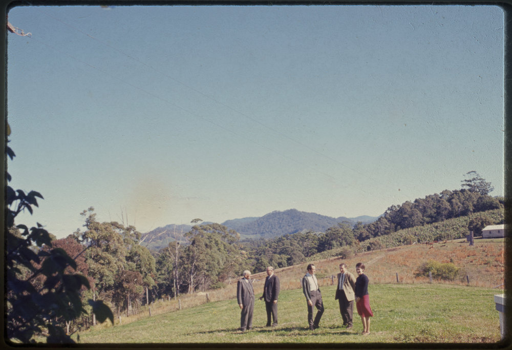Group of people in field, c. 1966