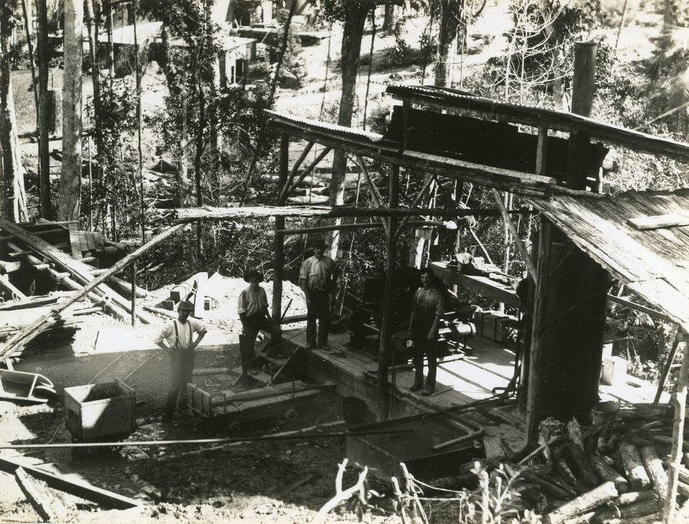 At Bucca goldfield, 1890s