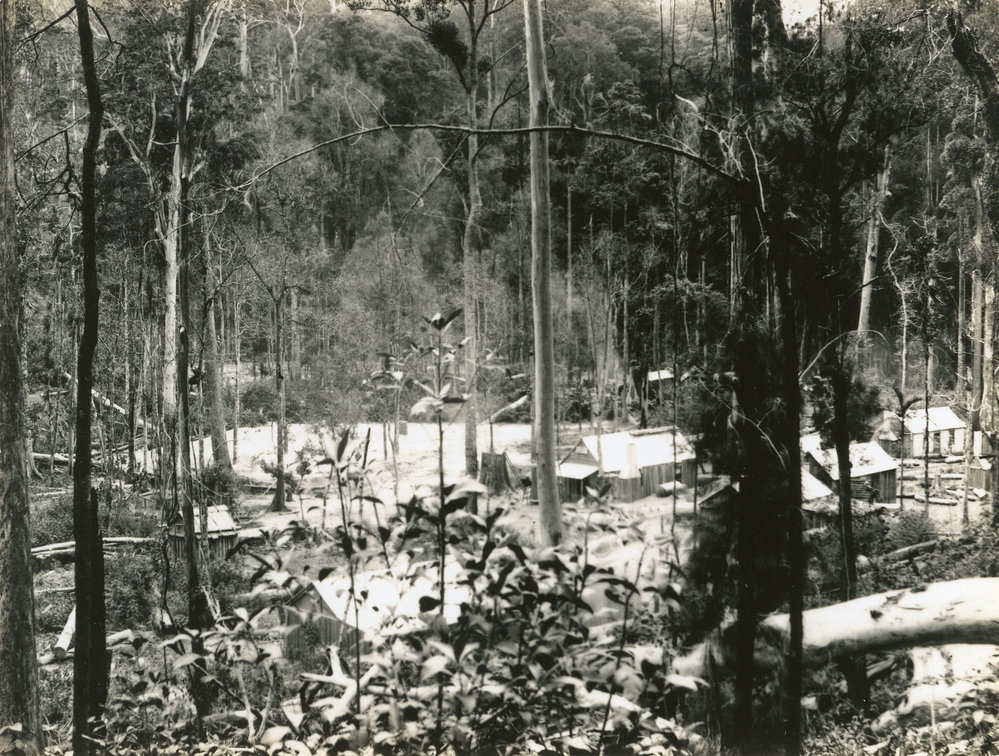 Huts at the Bucca goldfield