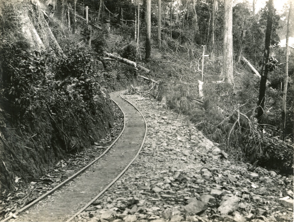 Bucca goldfield tramline