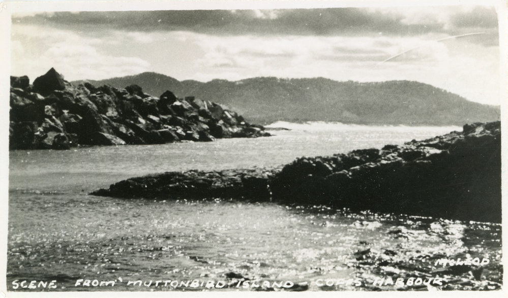 View from Muttonbird Island