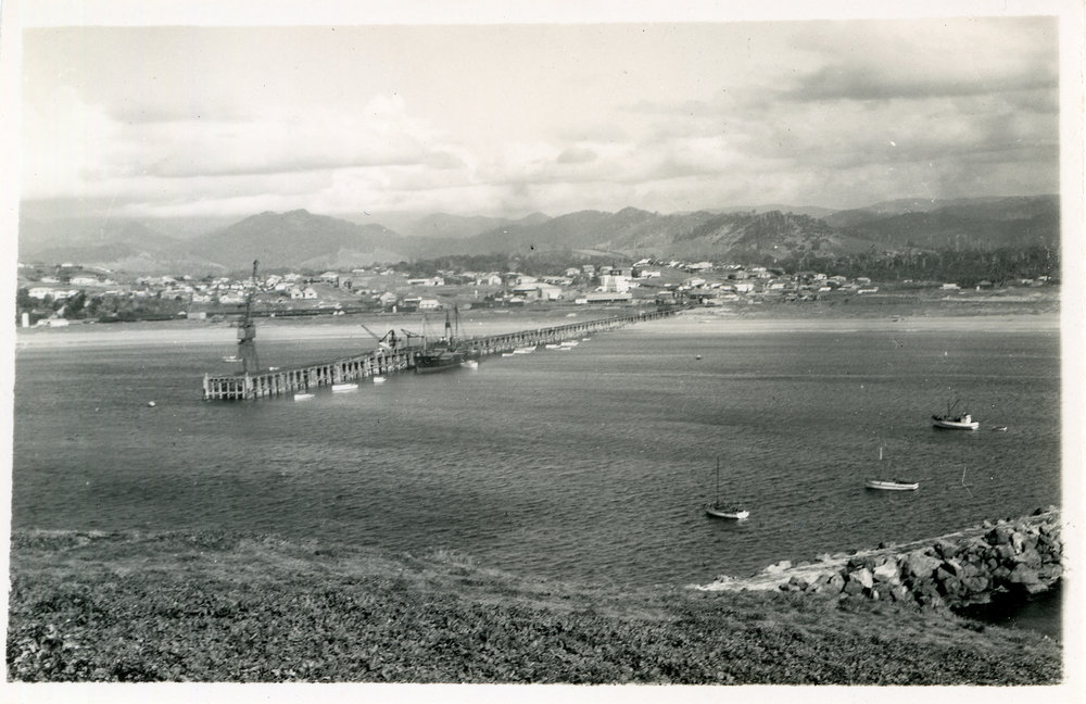 Aerial view of the jetty and township from Muttonbird Island