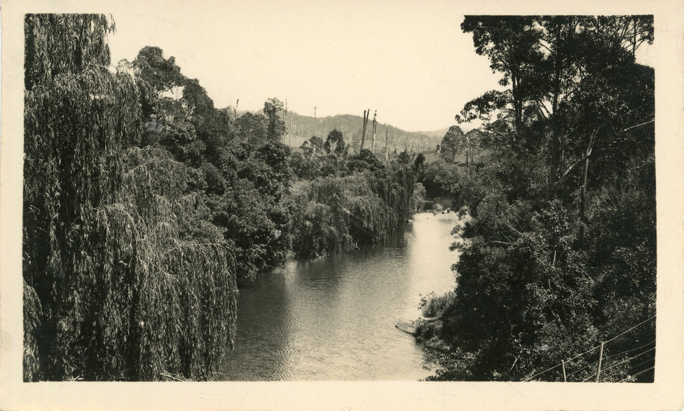 Orara River near Coramba, November 1931