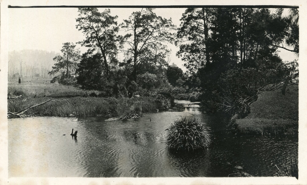 Orara River, 1930