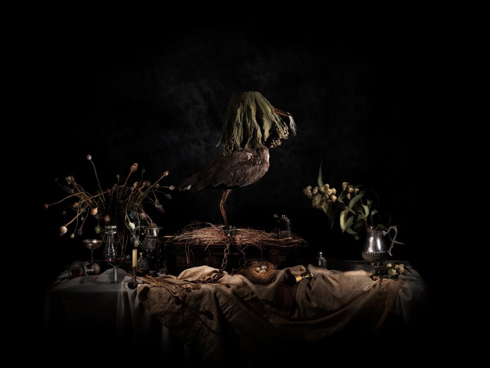 Nature Morte - Veiled Bird
