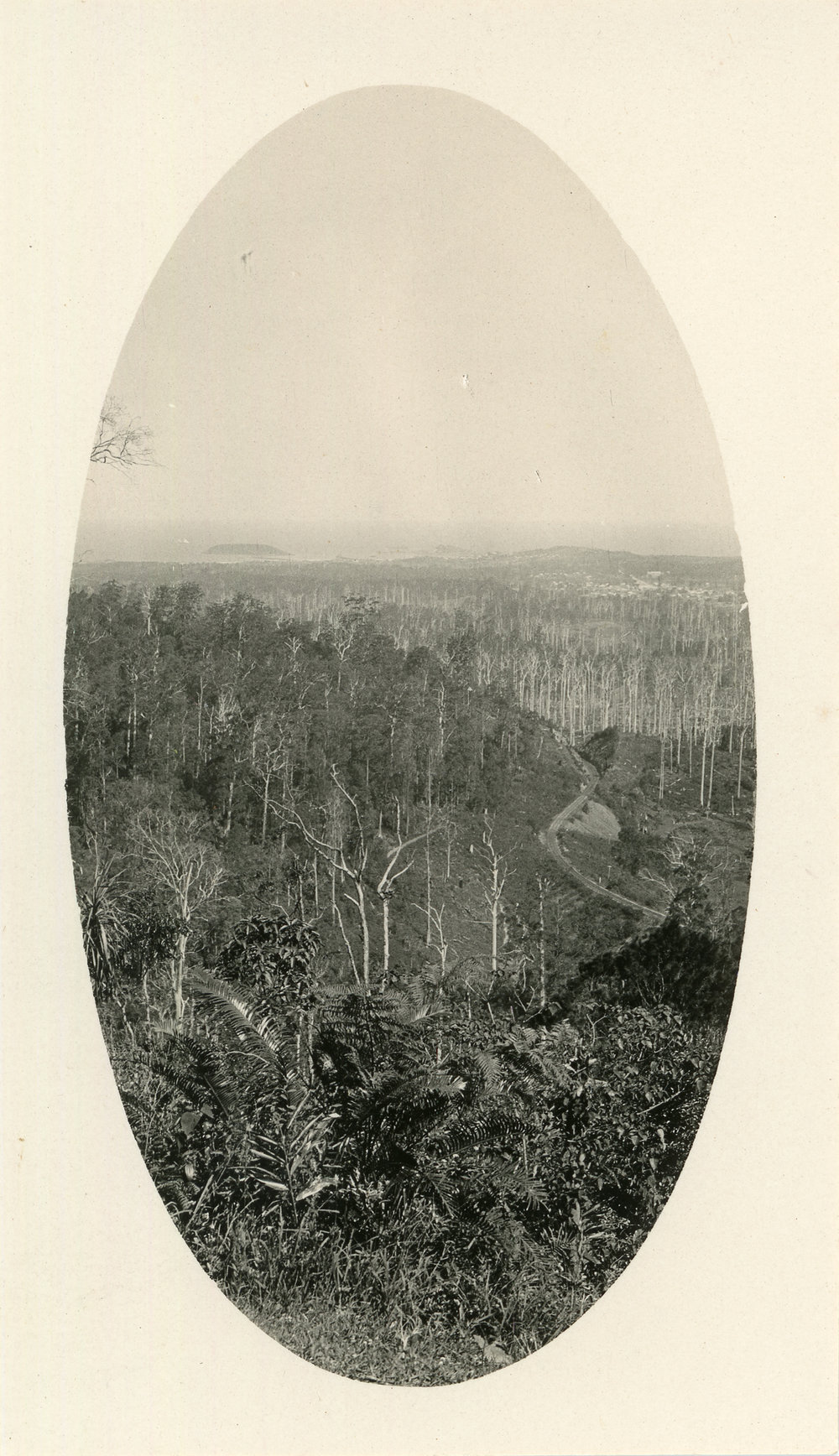 View from Red Hill, 1930