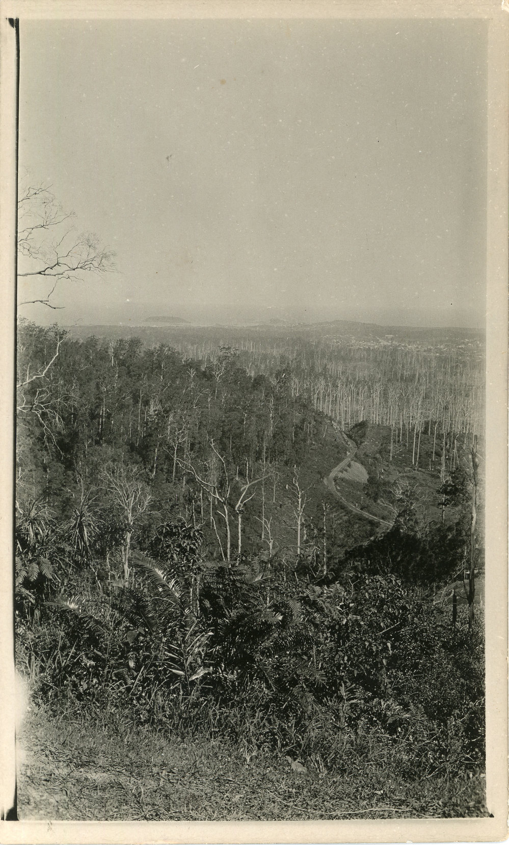 View from Red Hill, 1930