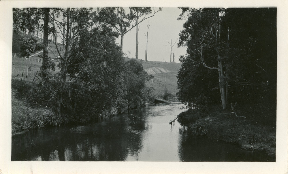 Fencing off the Orara River, 1930