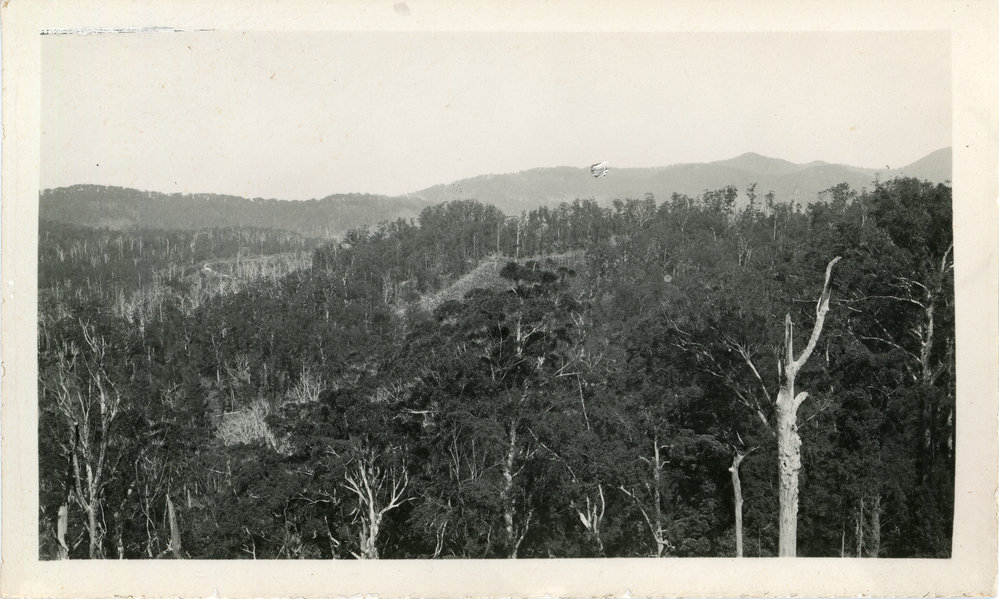 View from Red Hill, 1930