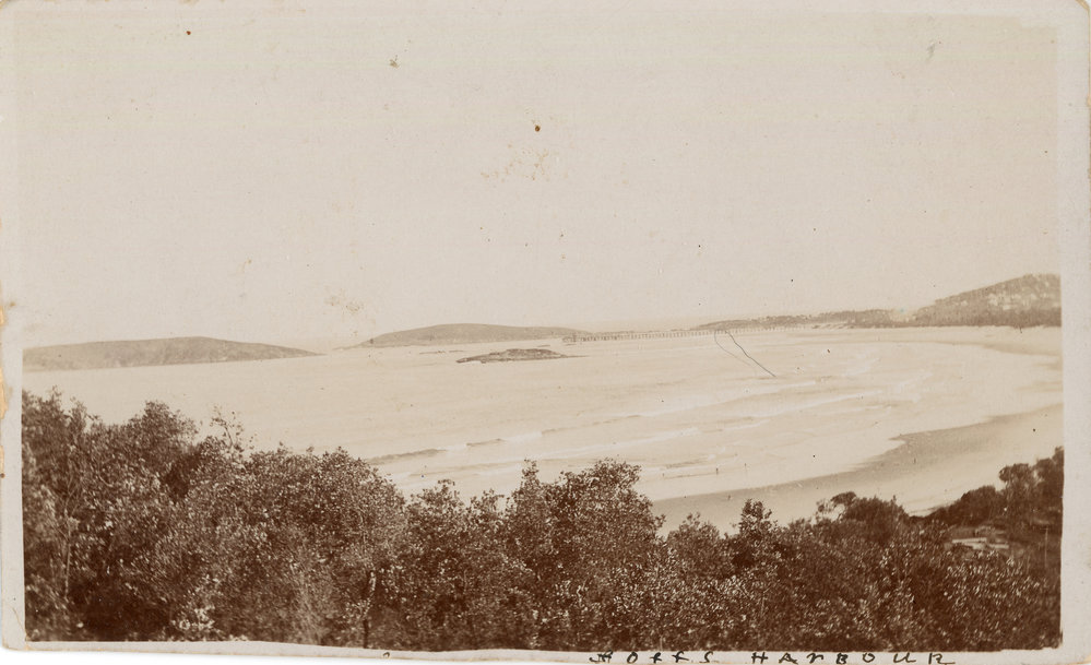 A view of the harbour from Macauleys Headland, c. 1910