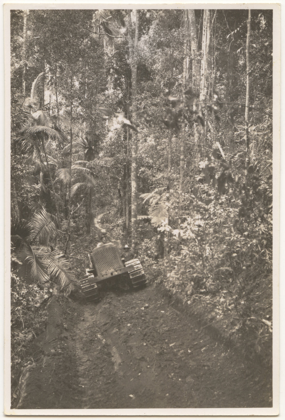 Crawler tractor in rainforest, c. 1940s